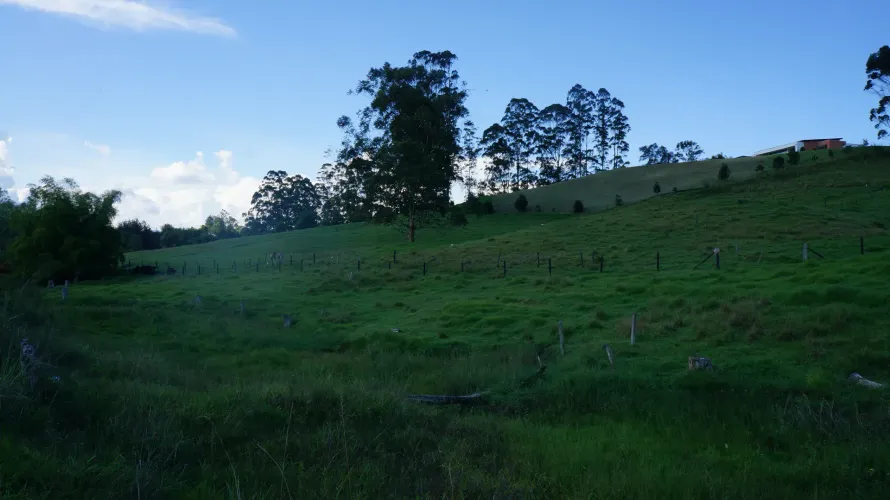 Lote en venta en Pontezuela, Rionegro, 27530 m² · foto 6 de 21