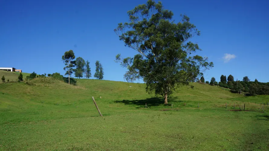 Lote en venta en Pontezuela, Rionegro, 27530 m² · foto 11 de 21