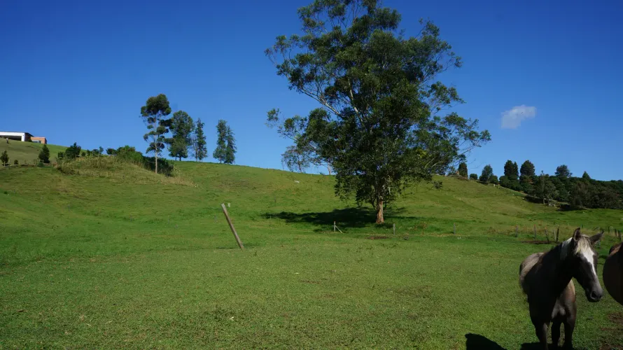 Lote en venta en Pontezuela, Rionegro, 27530 m² · foto 13 de 21