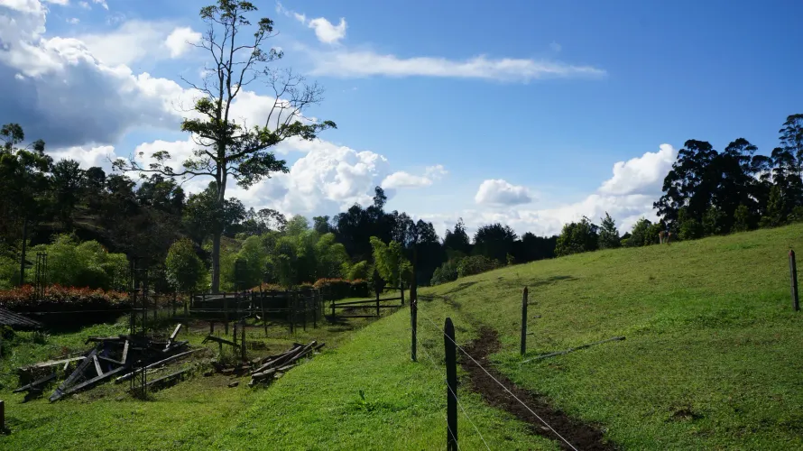 Lote en venta en Pontezuela, Rionegro, 27530 m² · foto 15 de 21