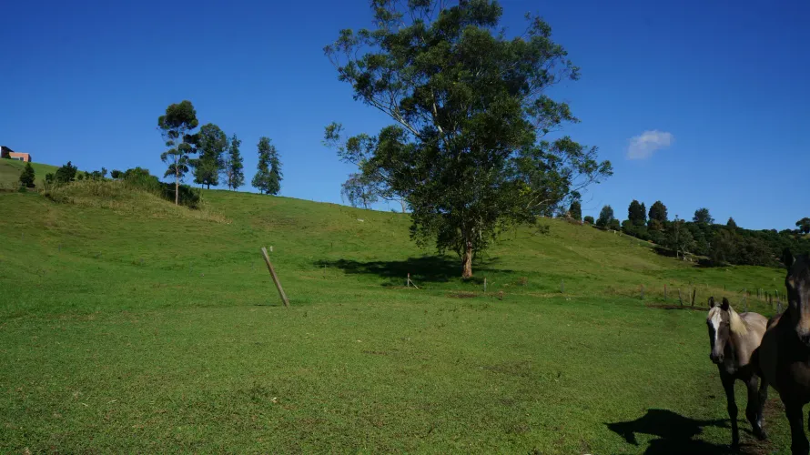 Lote en venta en Pontezuela, Rionegro, 27530 m² · foto 16 de 21