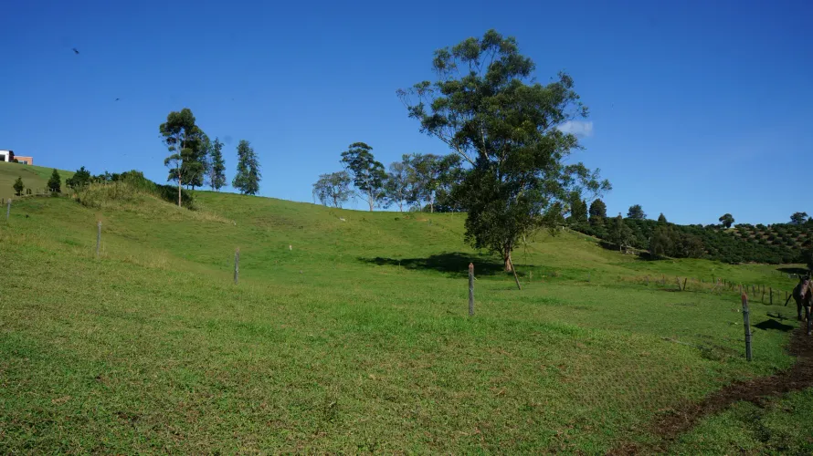 Lote en venta en Pontezuela, Rionegro, 27530 m² · foto 17 de 21