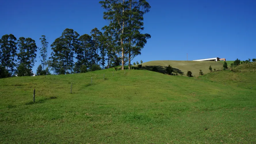 Lote en venta en Pontezuela, Rionegro, 27530 m² · foto 20 de 21