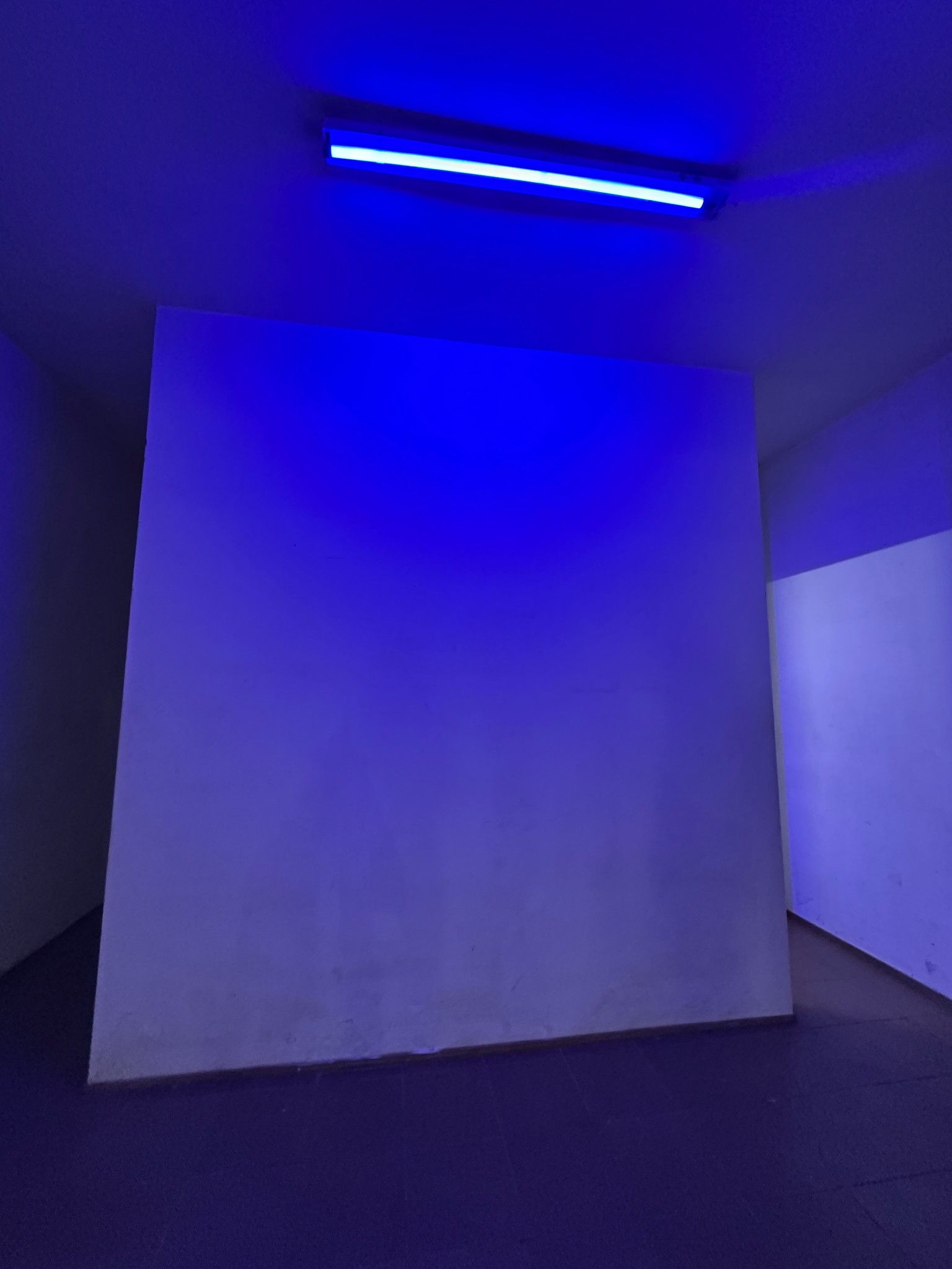 Alquiler de Imponente Local Comercial en 3 Plantas | 193 m² al Frente | Colón y Sarandí (Ciudad Vieja) · Foto 10
