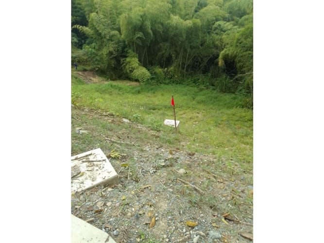Lote en venta en La Trinidad, Manizales, 1488 m² · foto 4 de 12