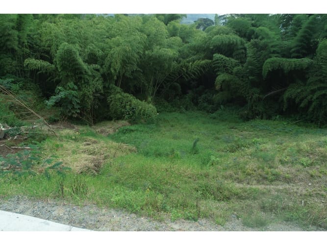 Lote en venta en La Trinidad, Manizales, 1488 m² · foto 11 de 12