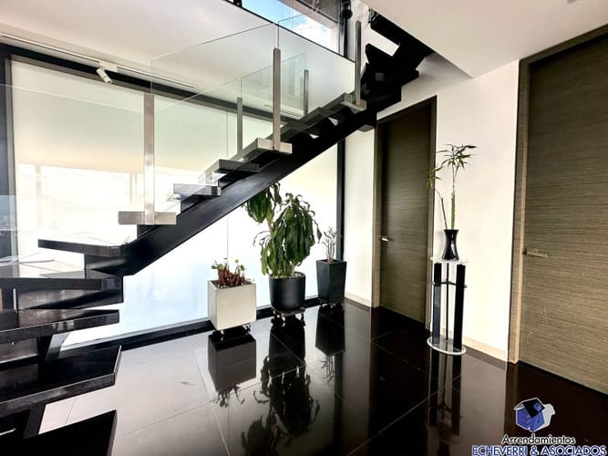 Apartamento de 2 alcobas en arriendo en El Poblado, Medellín, 260 m² · foto 5 de 14