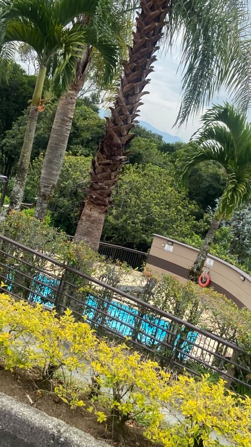 Casa de 3 alcobas en venta en Monte Verdi, Envigado, 249 m² · foto 8 de 24