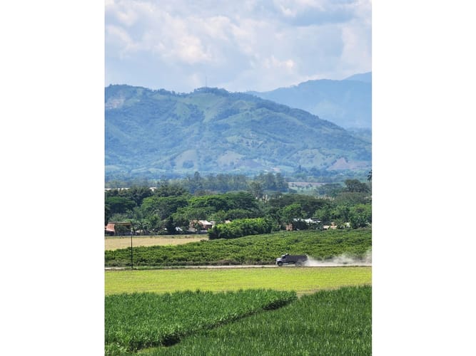 Finca en venta en Caimalito, Pereira · foto 4 de 22