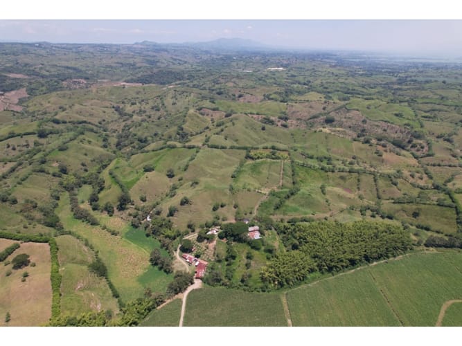 Finca en venta en Caimalito, Pereira · foto 5 de 22