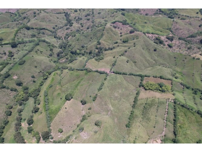 Finca en venta en Caimalito, Pereira · foto 6 de 22