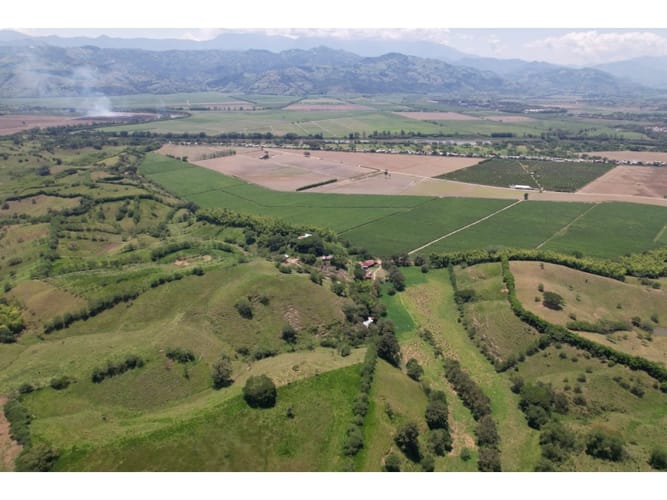 Finca en venta en Caimalito, Pereira · foto 7 de 22