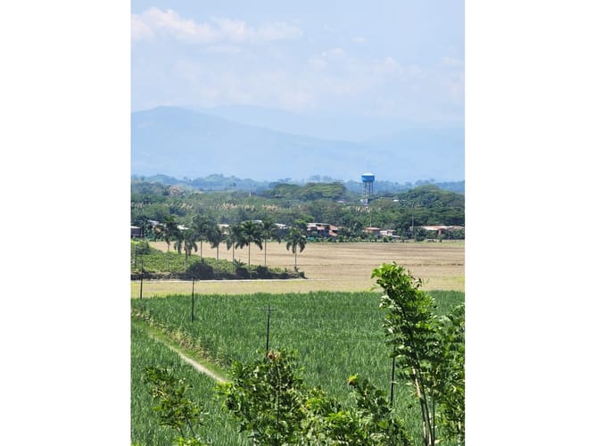 Finca en venta en Caimalito, Pereira · foto 8 de 22