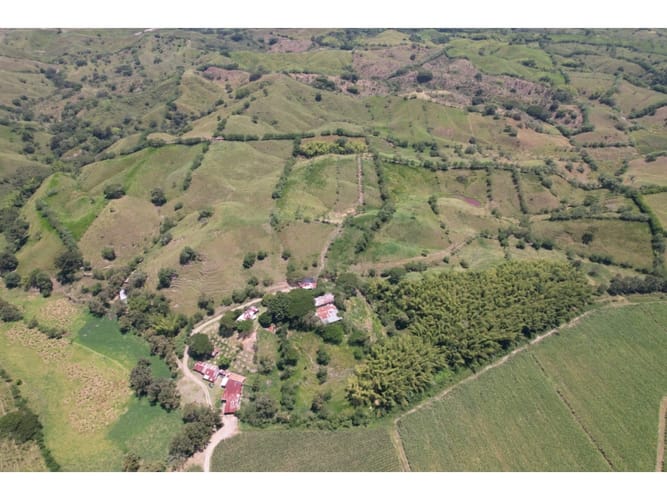 Finca en venta en Caimalito, Pereira · foto 9 de 22
