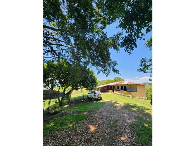 Finca en venta en Caimalito, Pereira · foto 10 de 22