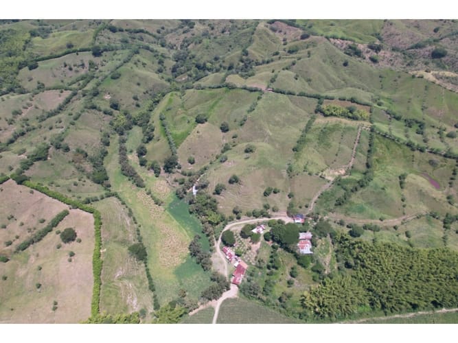 Finca en venta en Caimalito, Pereira · foto 11 de 22