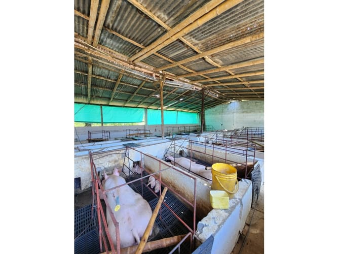 Finca en venta en Caimalito, Pereira · foto 12 de 22
