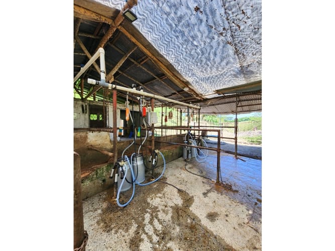 Finca en venta en Caimalito, Pereira · foto 14 de 22