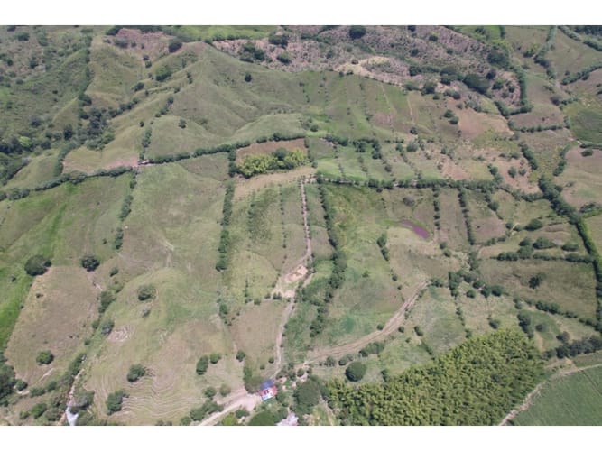 Finca en venta en Caimalito, Pereira · foto 15 de 22