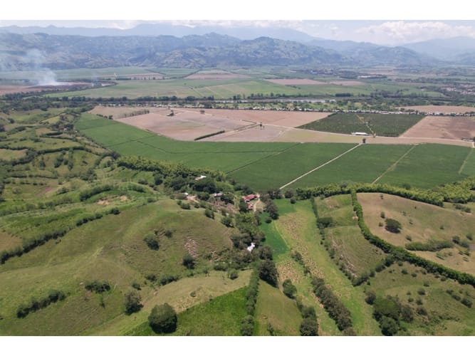 Finca en venta en Caimalito, Pereira · foto 16 de 22