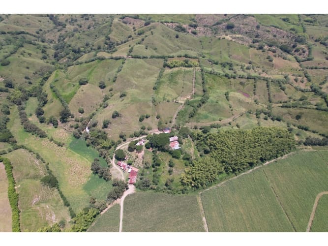 Finca en venta en Caimalito, Pereira · foto 17 de 22