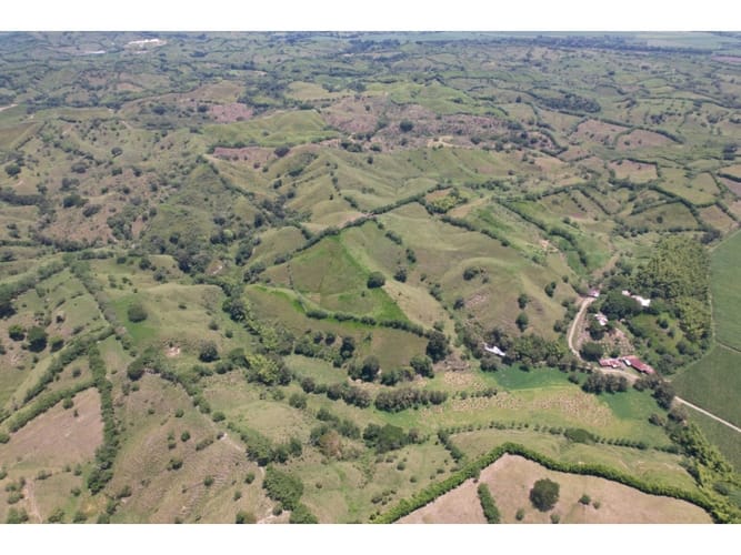 Finca en venta en Caimalito, Pereira · foto 18 de 22