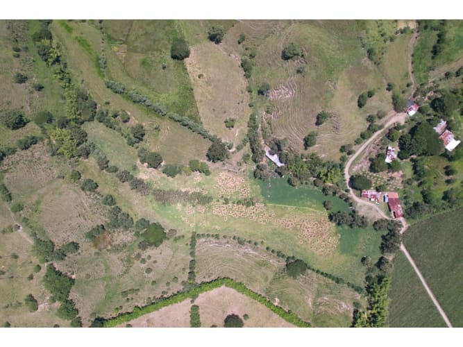 Finca en venta en Caimalito, Pereira · foto 19 de 22