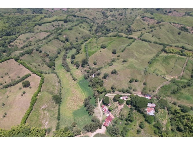 Finca en venta en Caimalito, Pereira · foto 20 de 22
