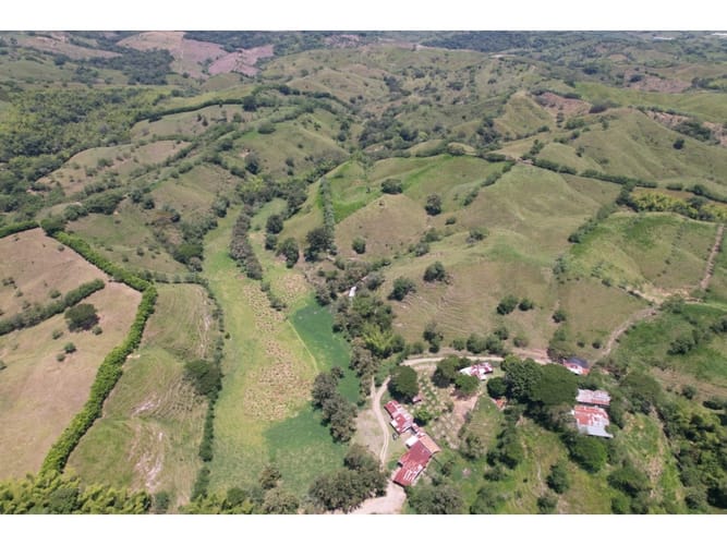 Finca en venta en Caimalito, Pereira · foto 21 de 22