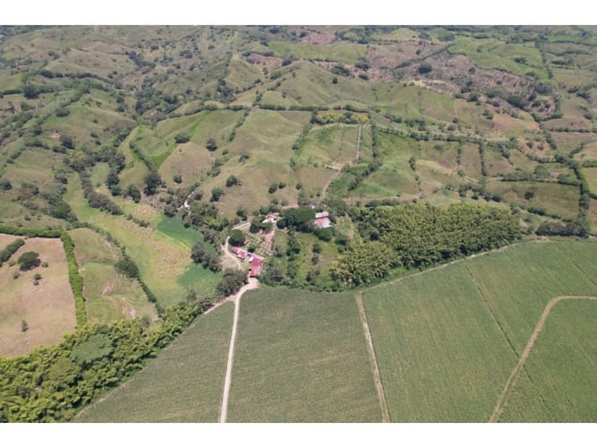 Finca en venta en Caimalito, Pereira · foto 22 de 22