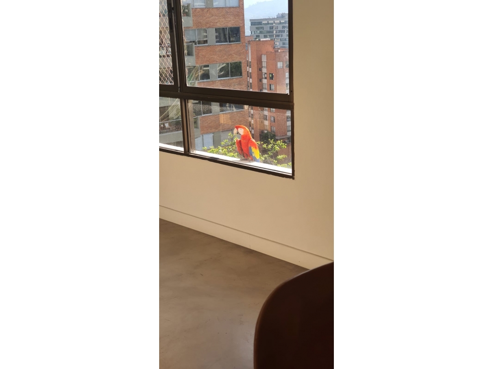 Apartamento en arriendo en El Poblado, Medellín · foto 17 de 23