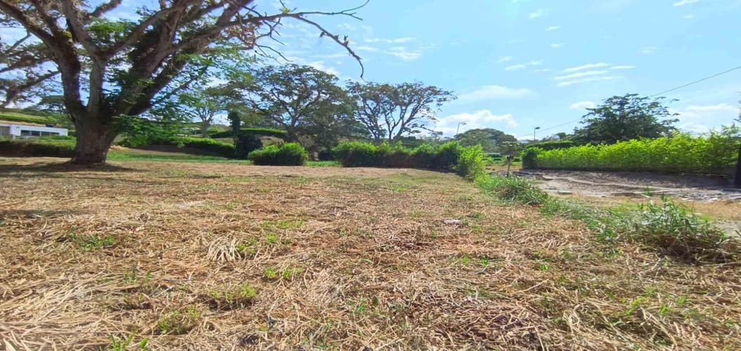 Lote en venta en Palermo, Manizales · foto 2 de 23