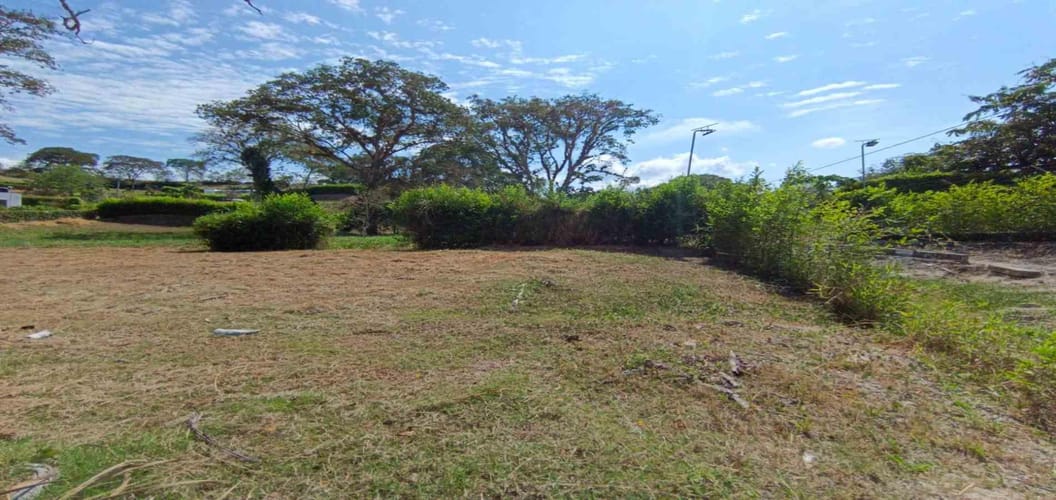 Lote en venta en Palermo, Manizales · foto 3 de 23