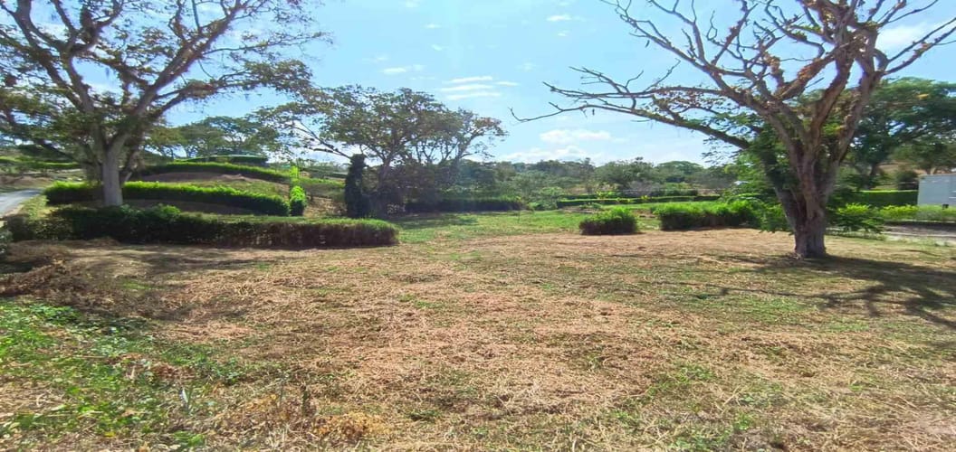 Lote en venta en Palermo, Manizales · foto 4 de 23