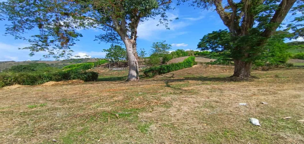 Lote en venta en Palermo, Manizales · foto 6 de 23