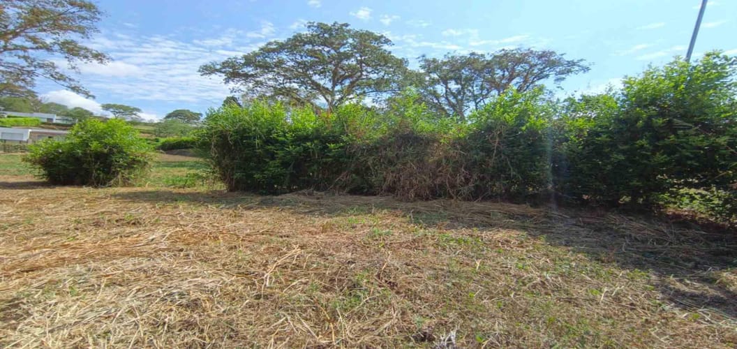 Lote en venta en Palermo, Manizales · foto 7 de 23