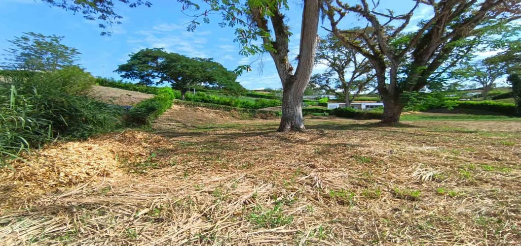 Lote en venta en Palermo, Manizales · foto 8 de 23