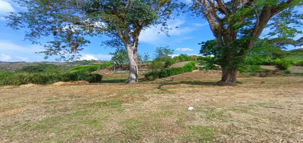 Lote en venta en Palermo, Manizales · foto 9 de 23