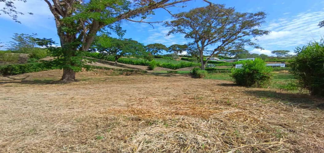 Lote en venta en Palermo, Manizales · foto 10 de 23