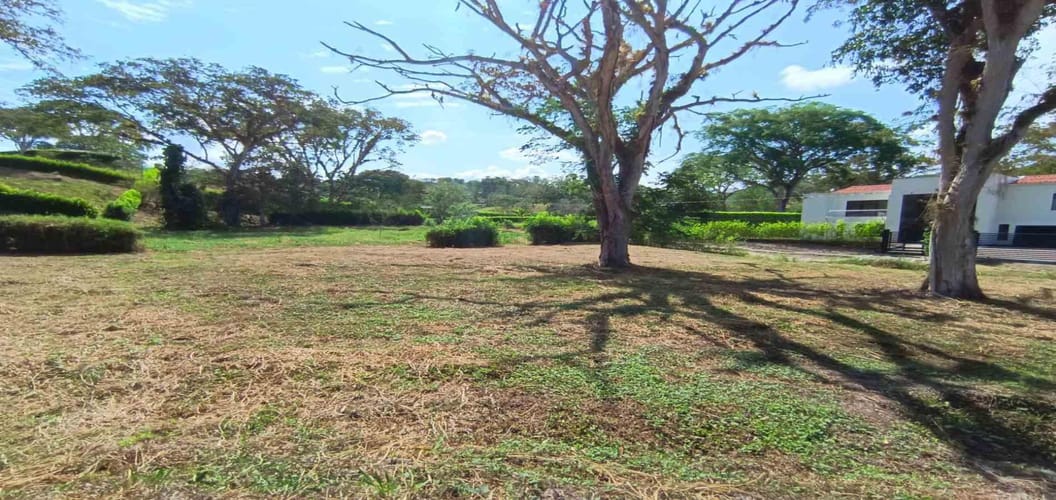 Lote en venta en Palermo, Manizales · foto 11 de 23