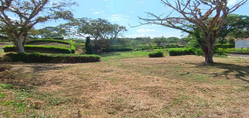 Lote en venta en Palermo, Manizales · foto 13 de 23
