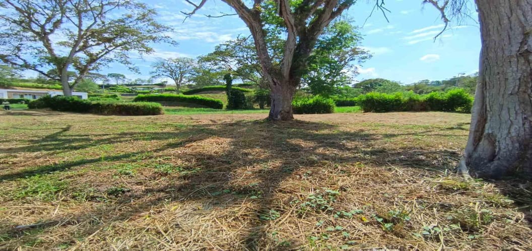 Lote en venta en Palermo, Manizales · foto 14 de 23