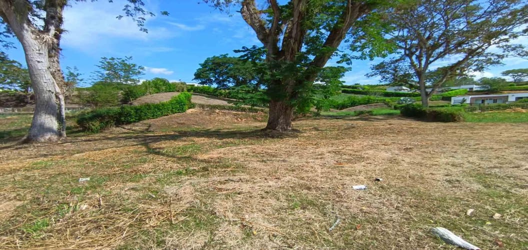 Lote en venta en Palermo, Manizales · foto 15 de 23