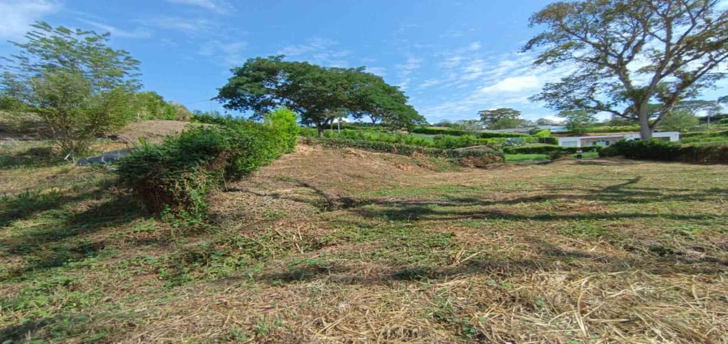 Lote en venta en Palermo, Manizales · foto 16 de 23