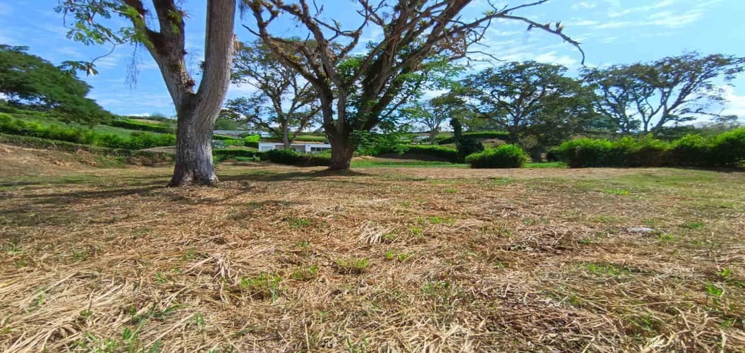 Lote en venta en Palermo, Manizales · foto 17 de 23