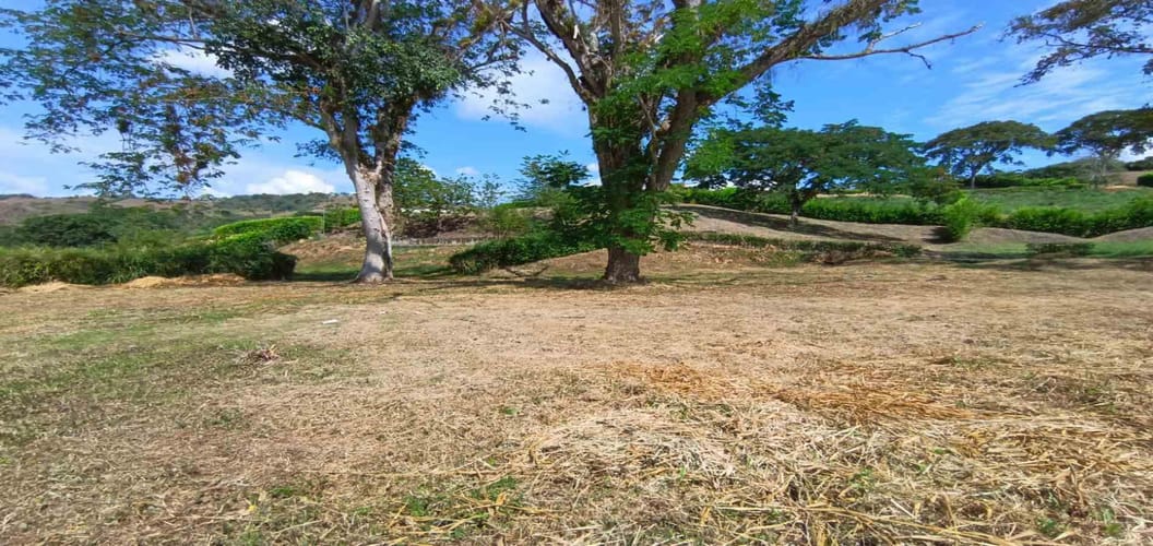 Lote en venta en Palermo, Manizales · foto 18 de 23