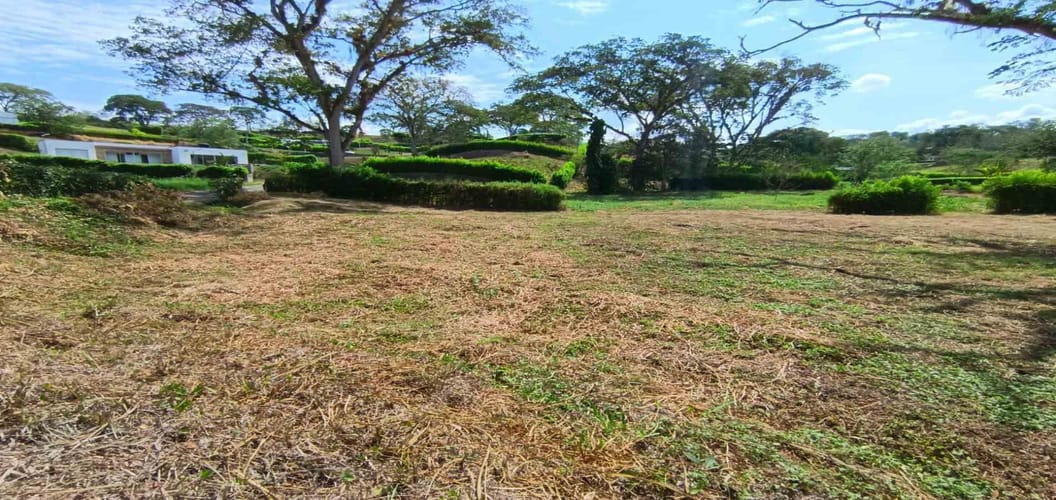 Lote en venta en Palermo, Manizales · foto 20 de 23