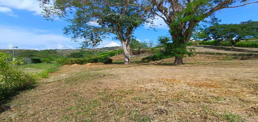 Lote en venta en Palermo, Manizales · foto 21 de 23