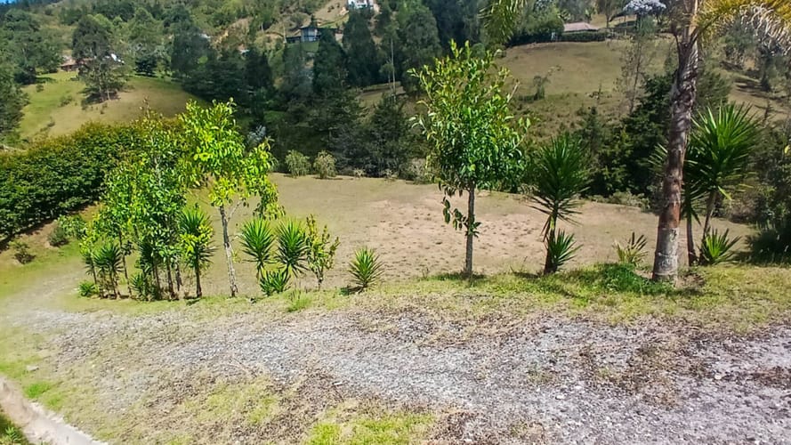 Lote en venta en Pantanillo, El Retiro, 3252 m² · foto 9 de 24