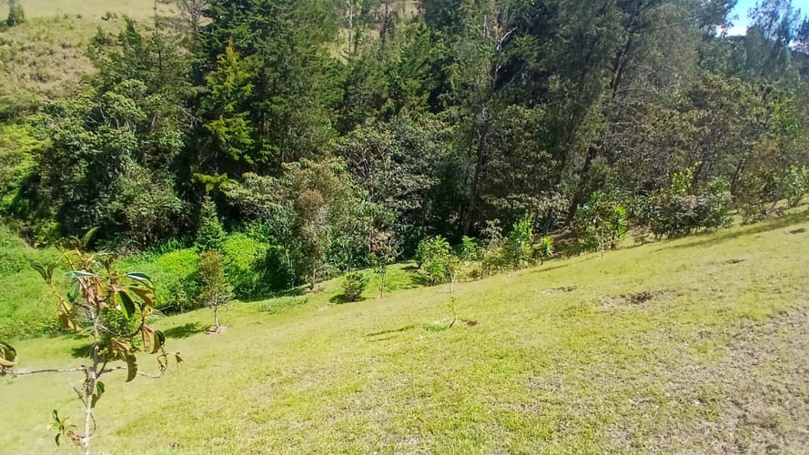 Lote en venta en Pantanillo, El Retiro, 3252 m² · foto 21 de 24
